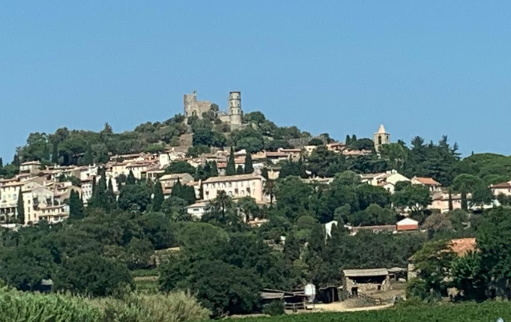 Pretty Historical Village House Grimaud Esterno foto